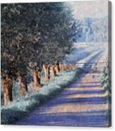 By Road Of Your Dream. Monet Style Canvas Print