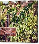 Cabernet Vineyards Canvas Print