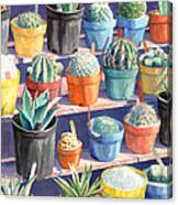 Cacti Chorusline Canvas Print