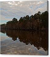 Caddo Lake Bald Cypress Reflection Canvas Print