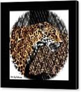Caged Jaguar Canvas Print