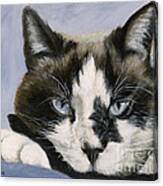 Calico Cat With Attitude Canvas Print