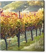 California Vineyard Series Morning In The Vineyard Canvas Print