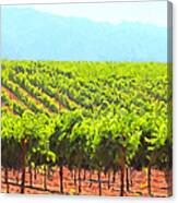 California Vineyard Wine Country 5d24623 Long Canvas Print