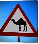 Camel Warning Road Sign Canvas Print
