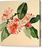 Camellia Stripe Canvas Print