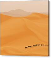 Camels Caravan In Sahara Canvas Print