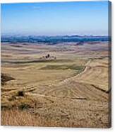 Camino De Santiago Canvas Print