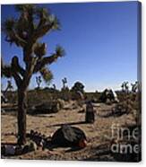 Camping In The Desert Canvas Print