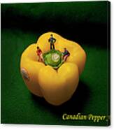 Canadian Pepper Jacks Canvas Print