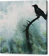 Canyon Denizen Or Torrey Pine Remains With Raven Canvas Print