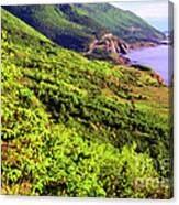 Cape Breton Highlands National Park Canvas Print