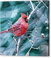 Cardinal In Winter Canvas Print