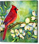 Cardinal On Dogwood Canvas Print