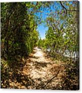 Caribbean Beach Trail Canvas Print