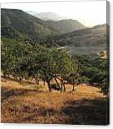 Carmel Valley Number 7 Canvas Print