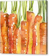 Carrot Bunch Art Canvas Print
