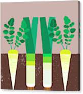 Carrots And Leeks Growing In Soil Canvas Print