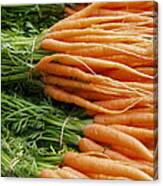 Carrots Canvas Print