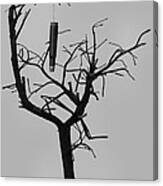 Cartridge In A Bare Tree Canvas Print
