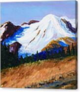 Cascade Canvas Print