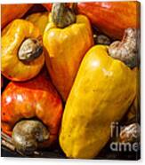 Cashews Canvas Print