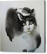 Cat In Black And White Canvas Print