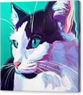Cat - Kitty Canvas Print