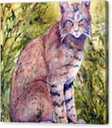 Cat-r-walling Canvas Print