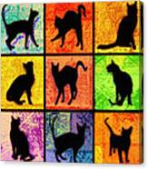 Cat Squares Abstract Canvas Print