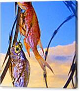 Catch Of The Day Canvas Print