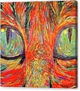 Cats Eyes Canvas Print