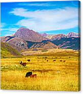 Cattle Grazing Autumn Panorama Canvas Print