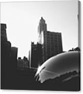 Caught This Lovely Flair Of  The Bean Canvas Print