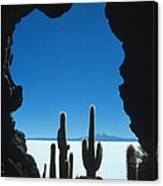 Cave And Cacti Incahuasi Island Canvas Print