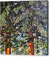 Cedars Canvas Print