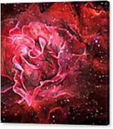 Celestial Rose Canvas Print