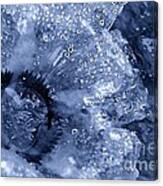 Cellophane Flower- Sapphire Canvas Print