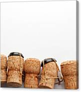 Champagne Corks Canvas Print