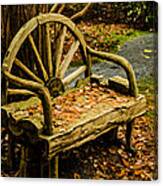 Changing Of The Seasons Canvas Print