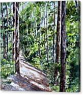 Cheraw Trail Canvas Print