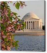 Cherry Blossoms And The Jefferson Memorial 3 Canvas Print