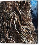 Chewbacca Canvas Print