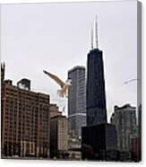 Chicago Birds 2 Canvas Print