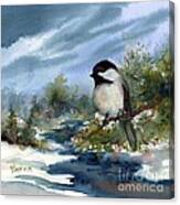 Chickadee On Cedar Canvas Print