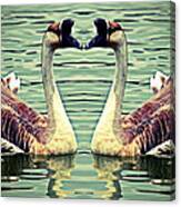 Chinese Geese Canvas Print