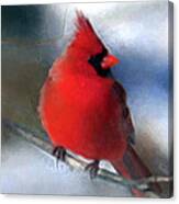 Christmas Card - Cardinal Canvas Print