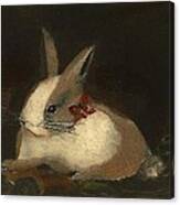 Christmas Rabbit Canvas Print