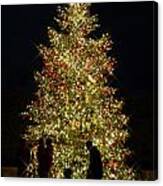 Christmas Tree Lights at Longwood Gardens in Kennett Square ...