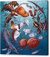 Circle Of Ocean Life Canvas Print